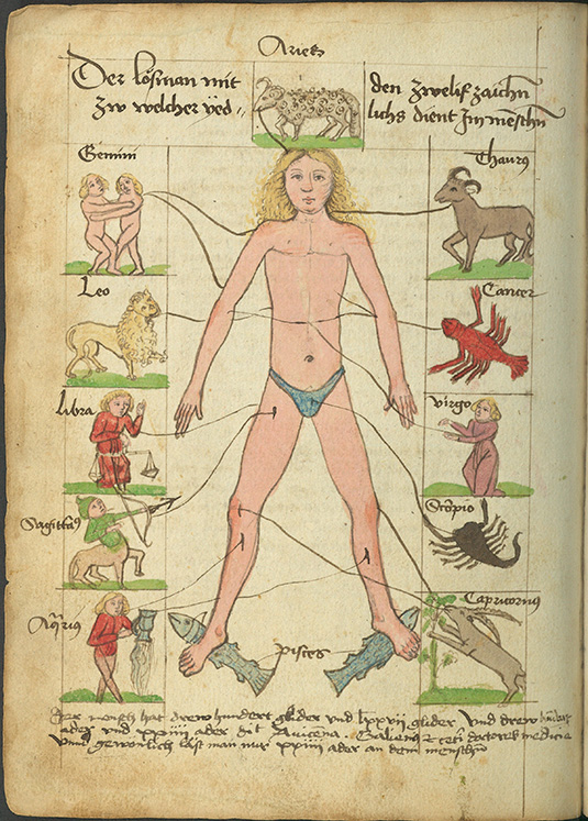 4 Cod.ms. 745 fol. 65v