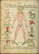 4 Cod.ms. 745 fol. 65v